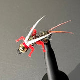Original Nymph Barbless/ Tungsten