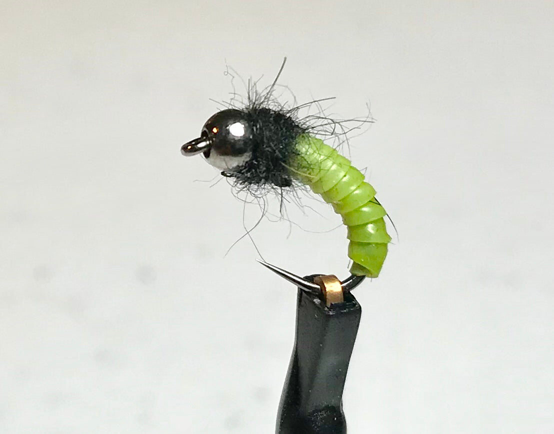 Rubber Grub (TBH) B/L  Fly tying patterns, Grubs, Fly fishing