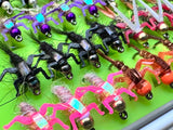 Lively Legz Barbed/ Tungsten Slim Steelhead & Big Stockies 2x Strong Fly Box (74 Barbed Flies)