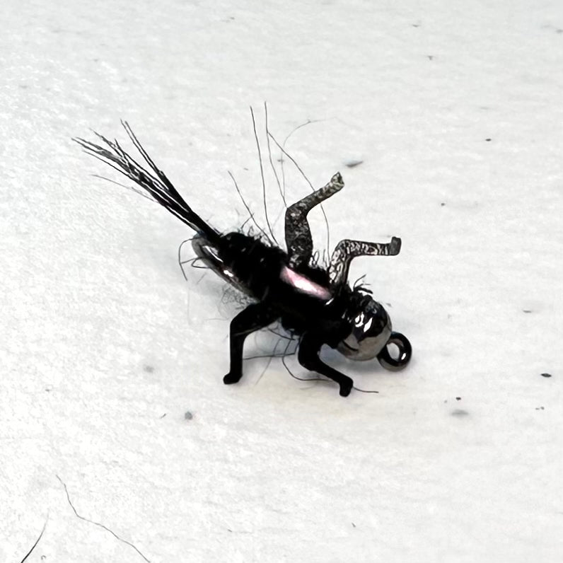 Original Nymph 2x Strong Barbed / Tungsten – Lively Legz Fly Fishing