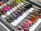 Lively Legz Steelhead & Big Stockies Series 2x Strong Barbed/ Tungsten Small Slim Fly Box (49 Flies)