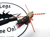 Big Fish Cicada