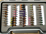 Lively Legz Barbless/Tungsten Slim Euro Nymph Box (50 Barbless Euro Jig Flies)