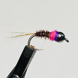 Frenchies Barbless/ Tungsten Series
