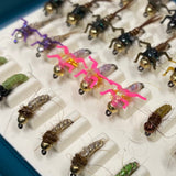 Bug Luggage Barbless/ Tungsten Nymph Box (Preloaded with 68 Flies)