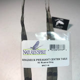 Ringneck Pheasant Tail Feathers (2 PACK)