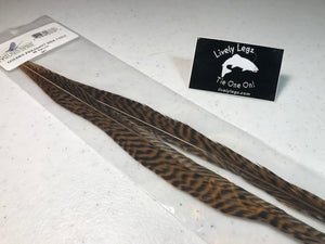 GOLDEN PHEASANT SIDE TAILS