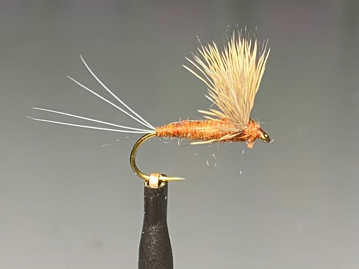 Comparaduns – Lively Legz Fly Fishing