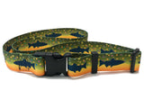 WADING BELTS by Wingo Outdoors
