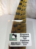 Ringneck Pheasant Tail Feathers (2 Pack)