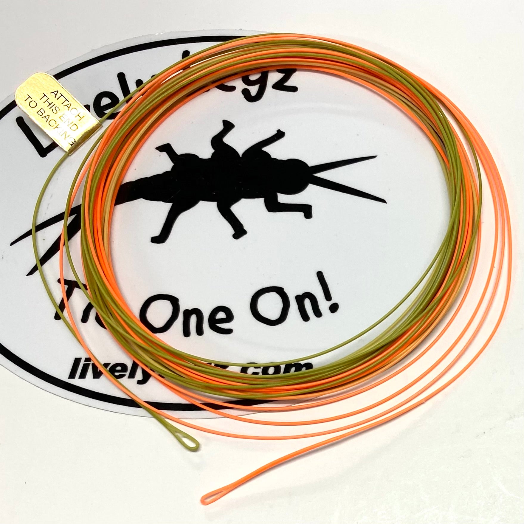 RIO Euro Nymph Shorty Fly Line (Overall Length 20') – Lively Legz Fly  Fishing
